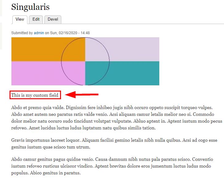 Custom Field on Article Type